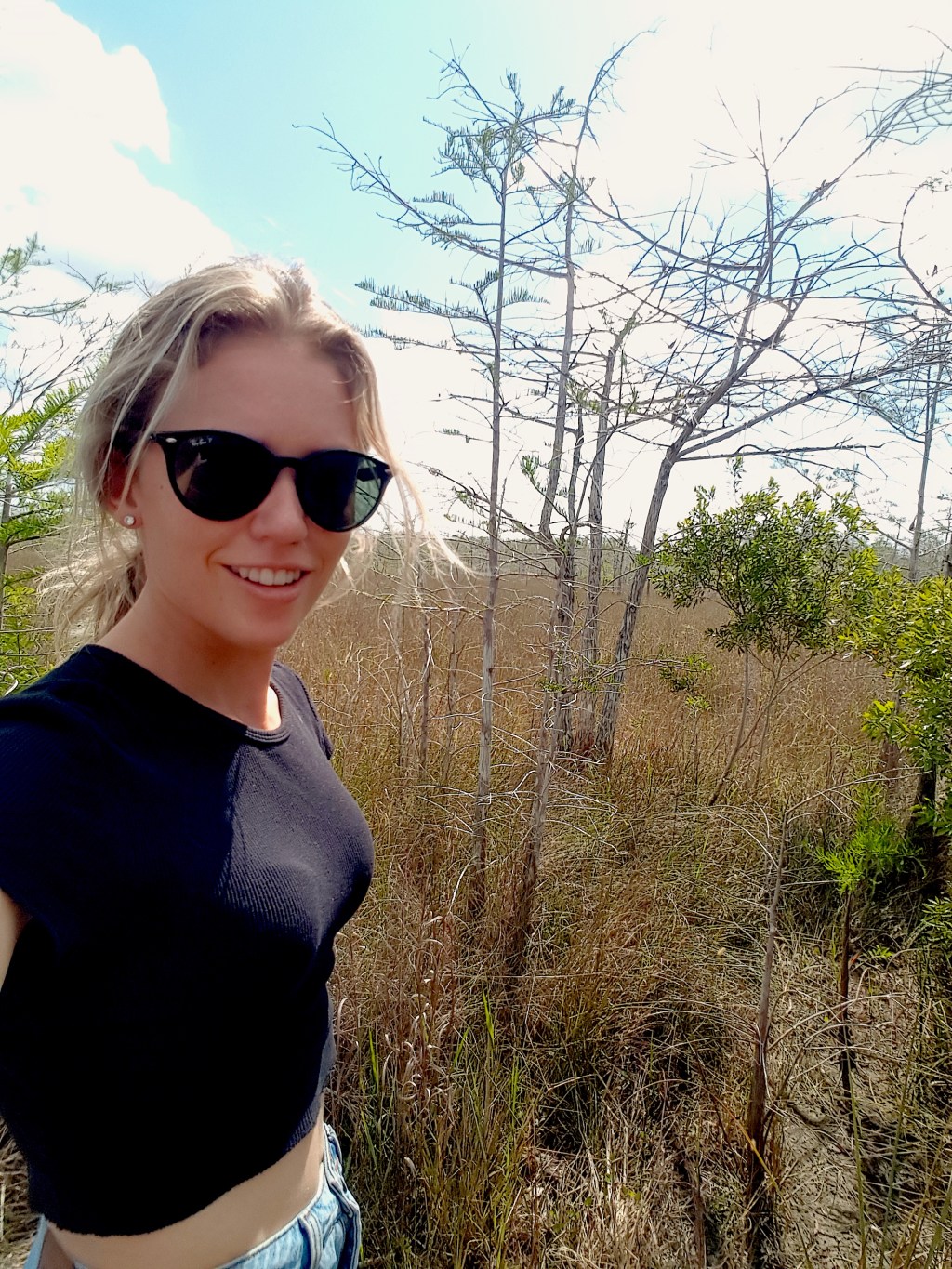 Exploring the Everglades-Is it a Heron or an&nbsp;Egret?